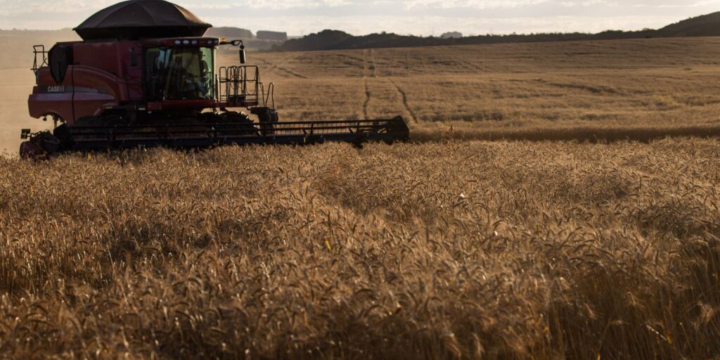 governo-fixa-acoes-para-avaliar-importacao-de-produtos-agropecuarios