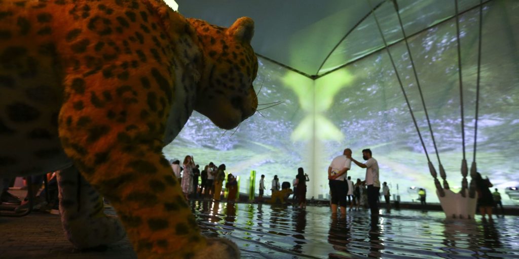 pavilhao-do-brasil-recebeu-12-mil-visitantes-em-tres-dias-da-expo-2020