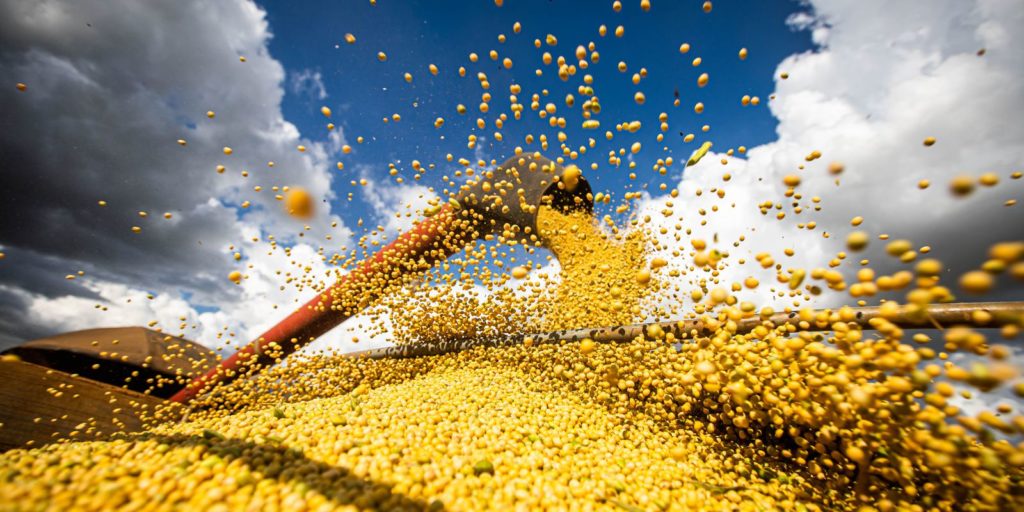 conab-diz-que-producao-de-graos-deve-atingir-308-milhoes-de-toneladas